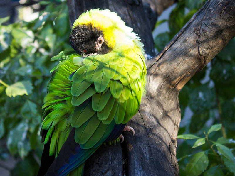 Argentina Cordoba Zoo